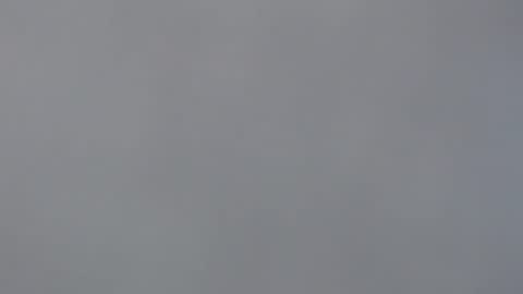 aliuno12345678 online show from December 29, 2024, 12:34 pm