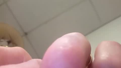 alldickandass11 online show from February 14, 2026, 4:59 pm