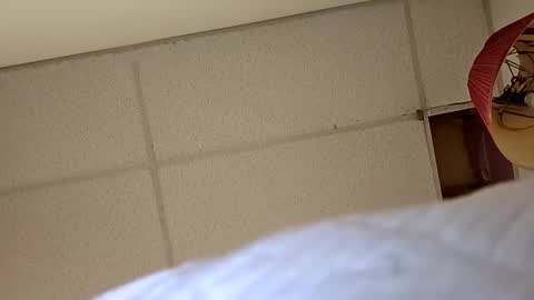 alldickandass11 online show from February 24, 2026, 7:01 pm