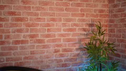 Snapshot of alliesynns chatting on December 21, 2024, 9:01 am Allie online show from December 21, 2024, 9:01 am