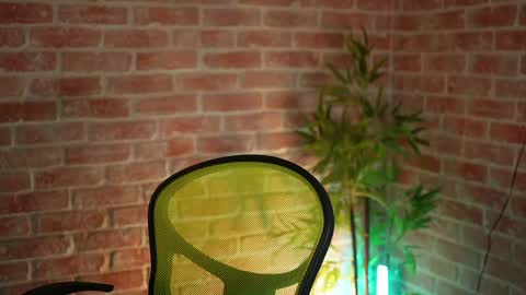 Snapshot of alliesynns chatting on December 23, 2024, 5:49 am Allie online show from December 23, 2024, 5:49 am