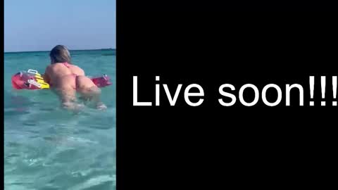 Snapshot of alliesynns chatting on November 1, 2025, 5:42 am Allie online show from November 1, 2025, 5:42 am