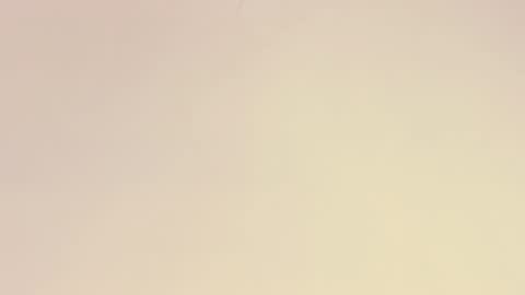    online show from December 1, 2025, 10:53 am