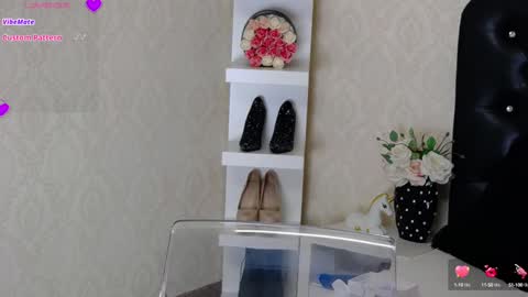 Snapshot of allisonn223 chatting on January 28, 2025, 12:05 am Deea online show from January 28, 2025, 12:05 am