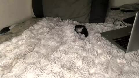 Snapshot of allthewayup10 chatting on March 2, 2025, 8:38 am allthewayup10 online show from March 2, 2025, 8:38 am