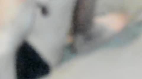 Snapshot of allways395 chatting on October 25, 2025, 5:04 am allways395 online show from October 25, 2025, 5:04 am