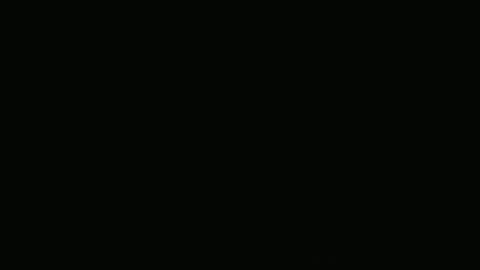 Frank online show from December 9, 2024, 9:49 am