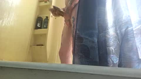 allwolf0323 online show from September 30, 2025, 4:45 pm