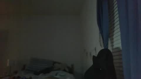 ally12334 online show from October 25, 2025, 2:30 am