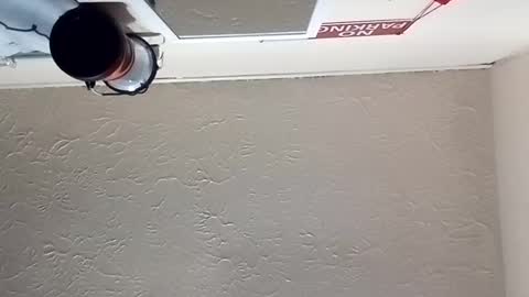 almightyjesos online show from October 30, 2025, 7:14 pm