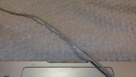 ALongwhitedick online show from March 12, 2025, 9:45 pm