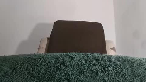 alotofcream4u online show from October 11, 2025, 5:17 am