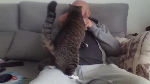 alsi72 online show from January 18, 2026, 1:48 pm