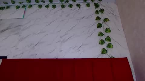 amandacanelacm101 online show from March 4, 2026, 3:56 am