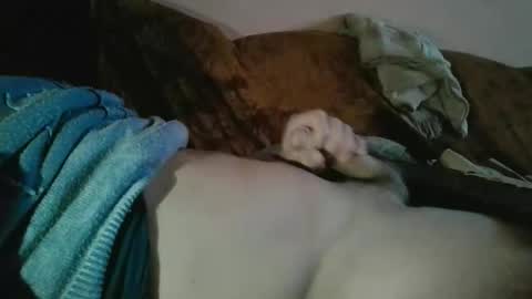 amazingcuteboy845 online show from October 18, 2025, 9:15 pm