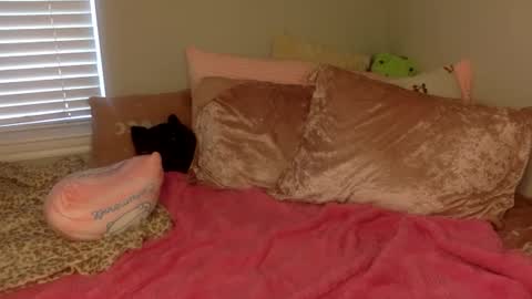 Amber 3 online show from September 14, 2025, 3:22 pm