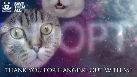 Amber online show from March 5, 2025, 3:08 am