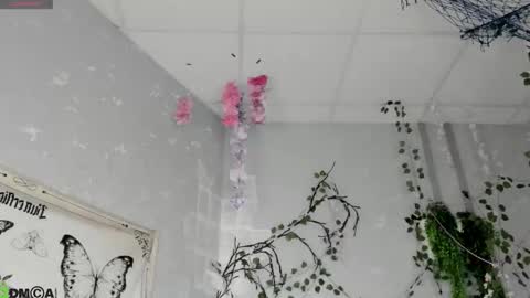 Ameli online show from February 18, 2026, 2:29 am