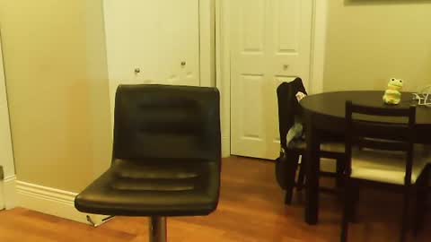 HOT white  naughty leo  xxx online show from January 12, 2025, 6:16 pm