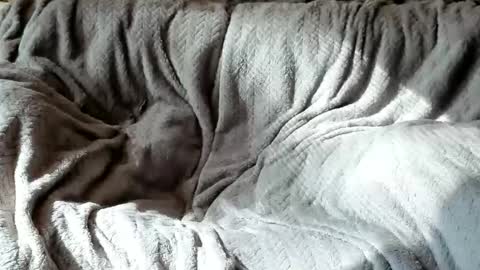 Snapshot of american_horny chatting on October 24, 2025, 5:42 pm Olive Walter online show from October 24, 2025, 5:42 pm