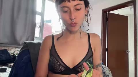 Snapshot of americanvisa chatting on February 4, 2025, 8:49 pm Voraginem online show from February 4, 2025, 8:49 pm