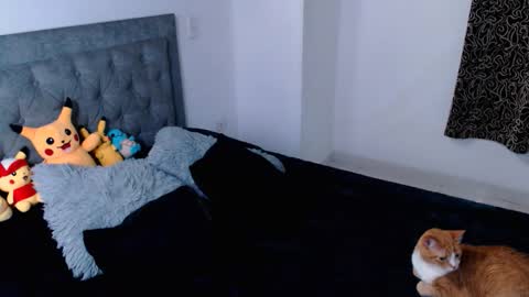 diana online show from April 16, 2026, 12:00 am