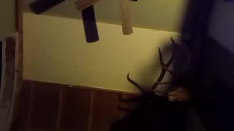 Snapshot of ammoman22 chatting on March 9, 2025, 5:55 am ammoman22 online show from March 9, 2025, 5:55 am