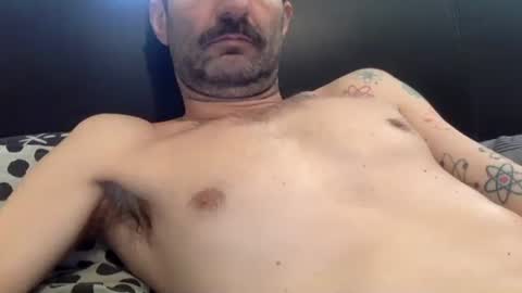 Snapshot of amued_mushroom chatting on April 23, 2026, 9:50 pm Dan online show from April 23, 2026, 9:50 pm