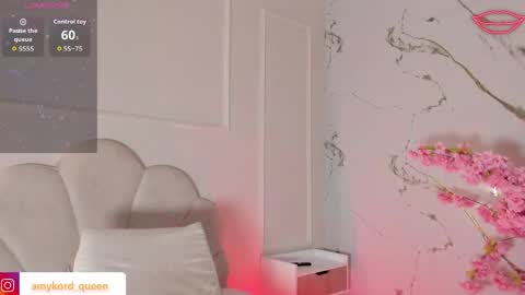 Amykord online show from April 17, 2026, 11:35 am