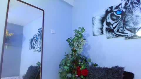 Analia online show from February 8, 2025, 3:10 pm