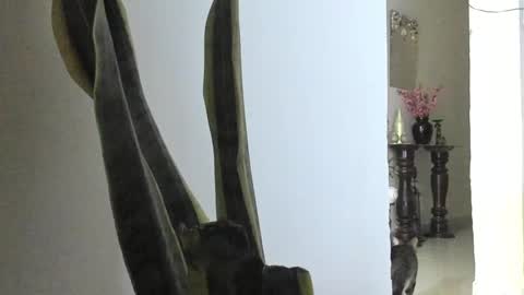 Ana Pakerman online show from March 9, 2025, 12:42 am