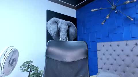 Snapshot of andres_clark chatting on October 26, 2025, 6:14 pm insta andres clark online show from October 26, 2025, 6:14 pm