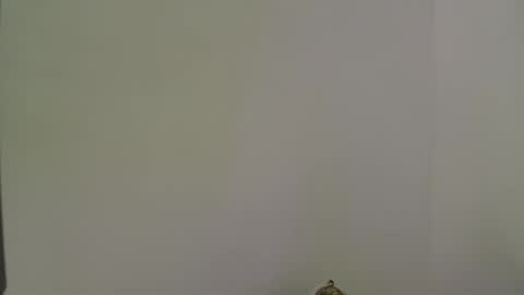 andres_stud online show from October 13, 2025, 4:34 am