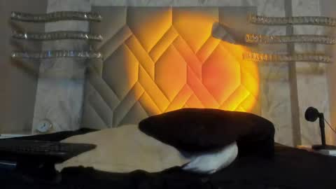 andy palmer online show from January 5, 2025, 9:48 am