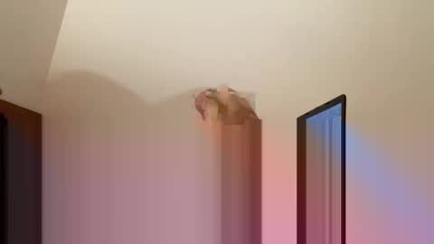 andysap online show from January 10, 2025, 1:09 pm