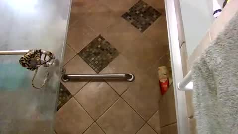 Snapshot of andywan94 chatting on February 7, 2025, 5:10 am andywan94 online show from February 7, 2025, 5:10 am