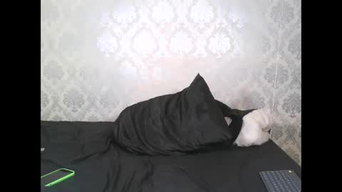 Angel Lein online show from February 11, 2025, 7:59 pm