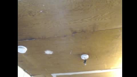 Ani online show from February 25, 2025, 2:11 pm