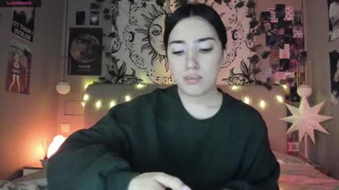 Anisa Moan from LovenseWet from Tip MenuOpen for Private online show from February 5, 2025, 4:25 pm