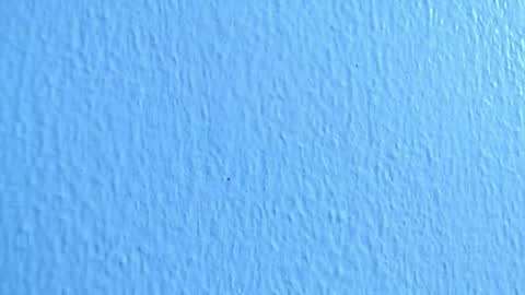 ana independent model online show from December 2, 2024, 7:03 am