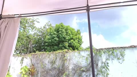 Anna online show from December 7, 2024, 4:25 pm