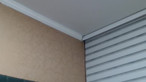       online show from January 15, 2026, 1:54 am