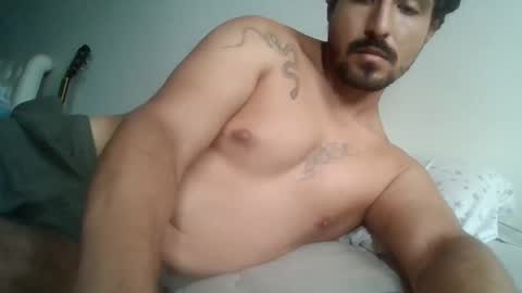 Snapshot of annibalhibou chatting on March 11, 2025, 9:37 pm Annibalhibou online show from March 11, 2025, 9:37 pm