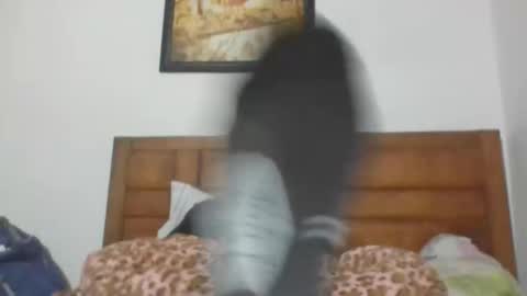 Snapshot of annubis420 chatting on October 9, 2025, 6:55 am Annubis420 online show from October 9, 2025, 6:55 am