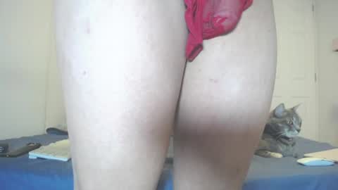 Snapshot of anny_bunny1 chatting on July 11, 2026, 6:43 pm INDEPENDENT MODEL next srteam 240624 online show from July 11, 2026, 6:43 pm