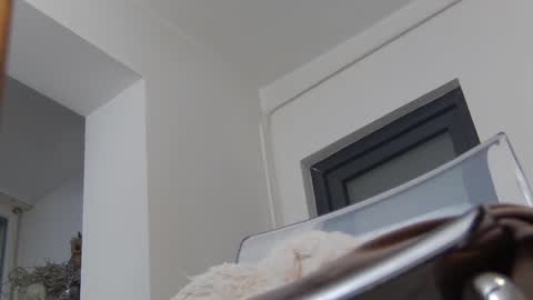 Anna online show from December 2, 2024, 11:45 am