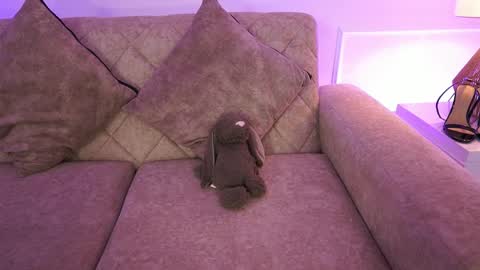 Ana online show from April 2, 2026, 11:41 am