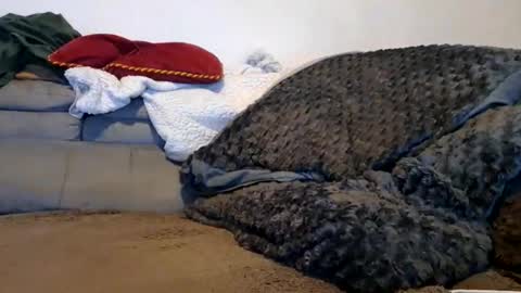 anonymousex15 online show from November 30, 2025, 12:42 pm