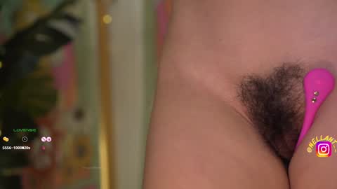 Snapshot of antonella_maitt chatting on December 16, 2024, 9:35 am Nell. online show from December 16, 2024, 9:35 am