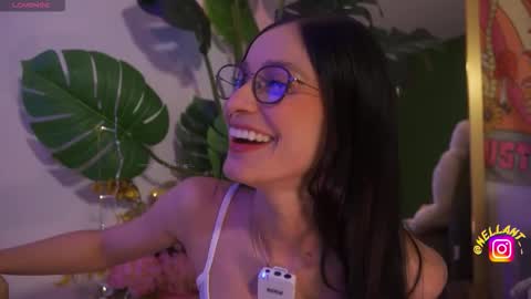 Nell. online show from January 13, 2026, 1:44 am